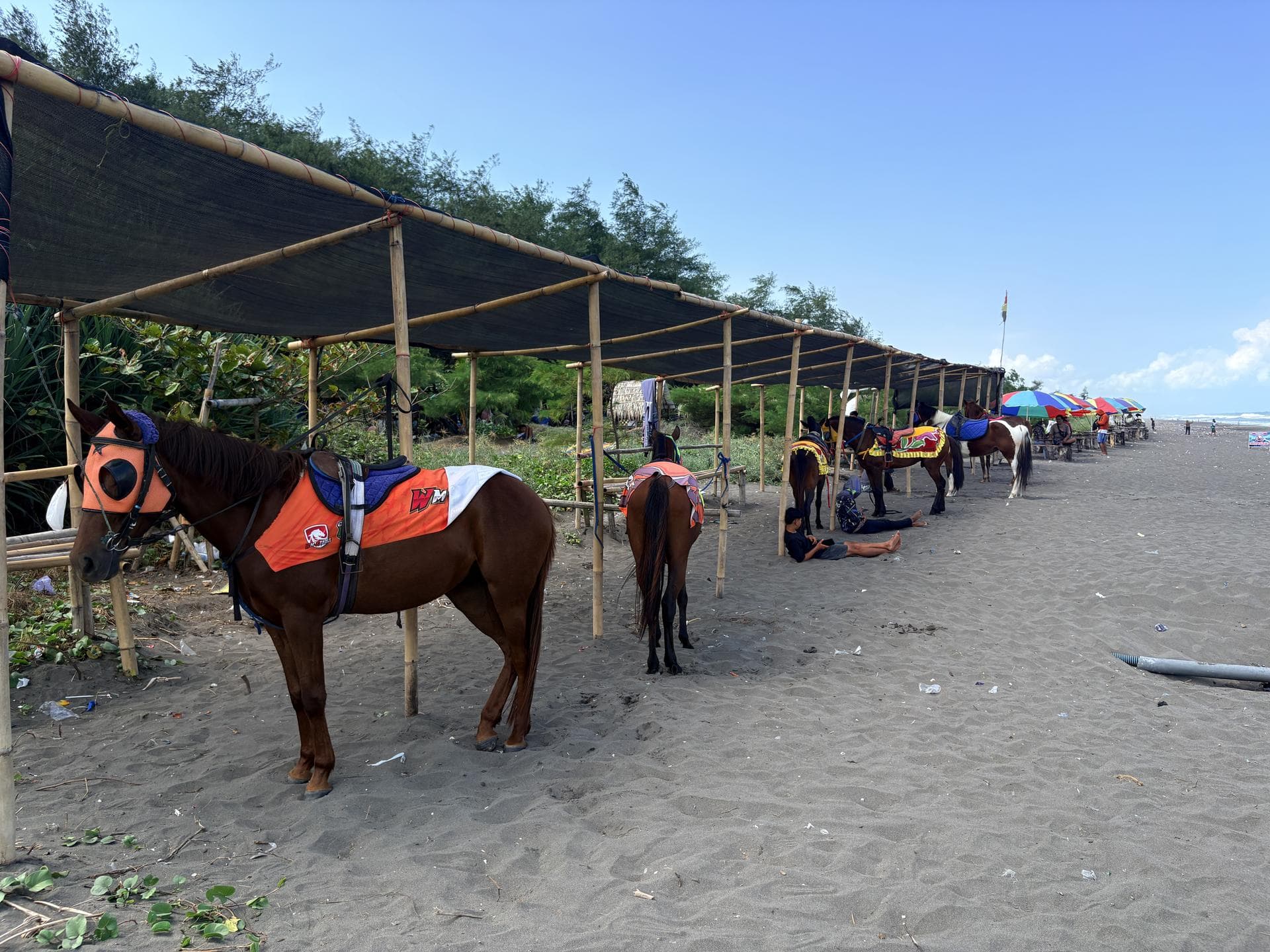 Sewa Kuda Pantai