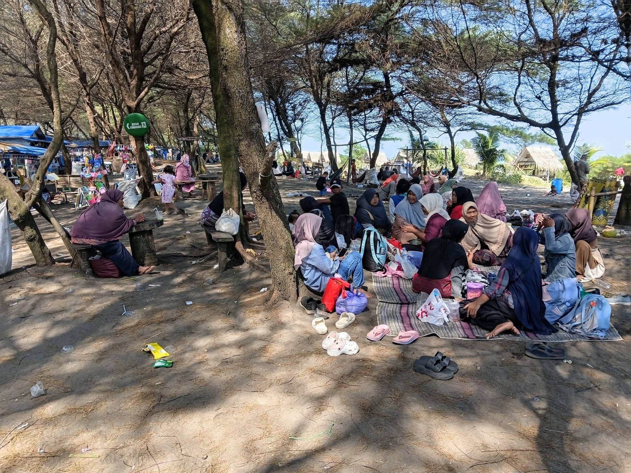Sewa Tikar Piknik